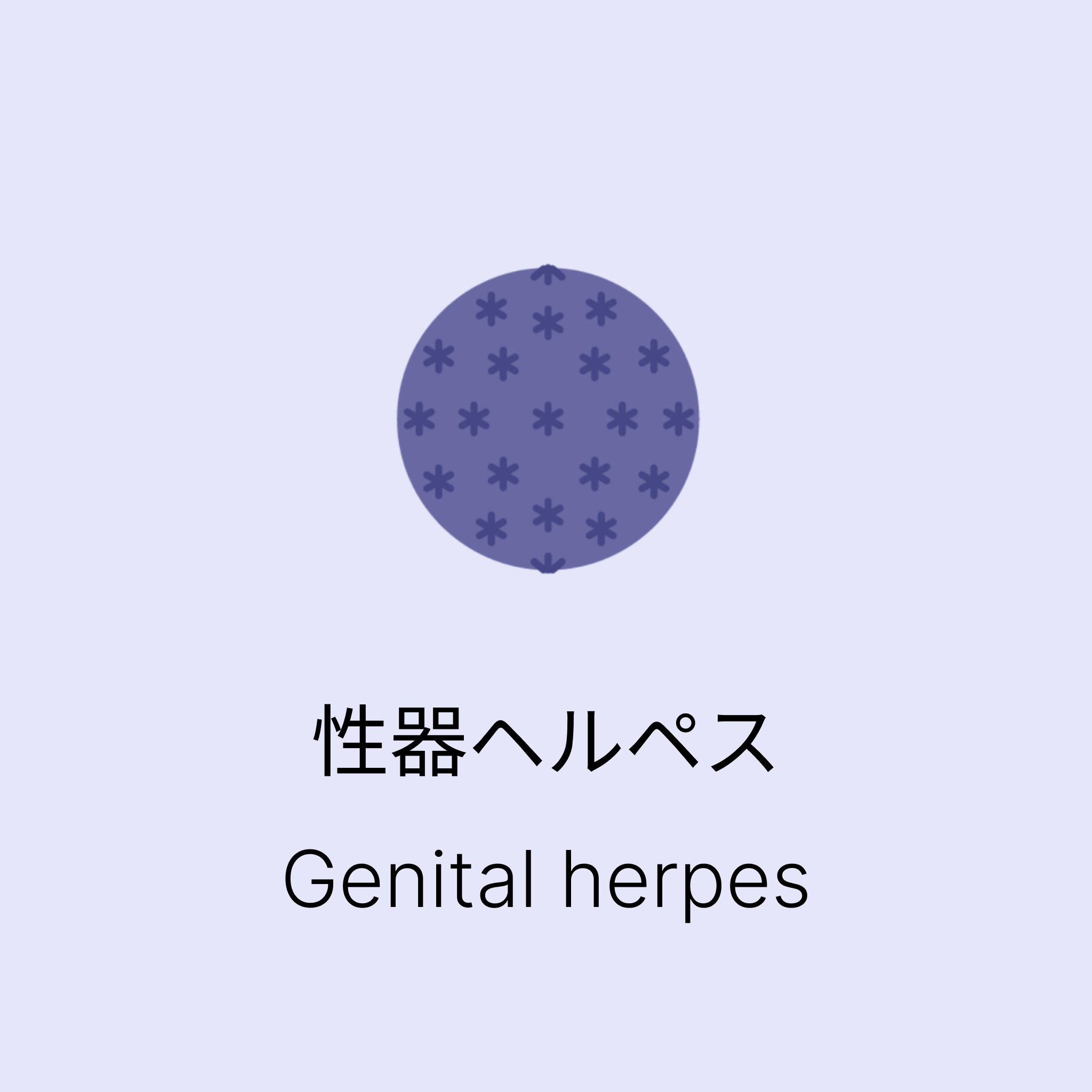 【性器ヘルペス】バラシクロビル